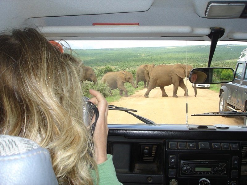 Kapstadt Garden Route Addo Elephant Park @awayonwheels